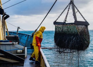 Acuerdo desbloquea ley pesquera: Pacific Blu revierte cierre y Sonapesca alerta traspaso de US$160 millones