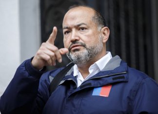 Ex director de Senapred por megaincendio: «Conaf no nos alertó» y Ripamonti «no cumplió con plan de emergencia»