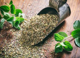 La hierba que ayuda a generar colágeno, fortalecer las articulaciones y calma el dolor de rodilla