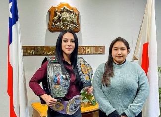 Lluvia de memes por la presentación «poco diplomática» de la cónsul de Chile en Japón