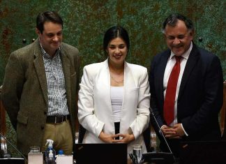 Luis Larraín: Chilezuela: ¿ahora sí?