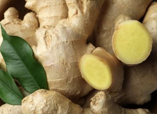 Jengibre: todo lo que debes saber de esta poderosa planta medicinal