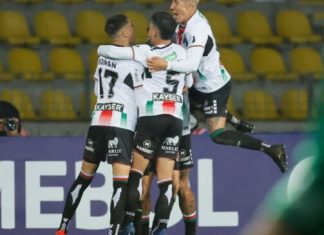 Palestino derrota a Flamengo y sigue vivo en su lucha por clasificar en Copa Libertadores
