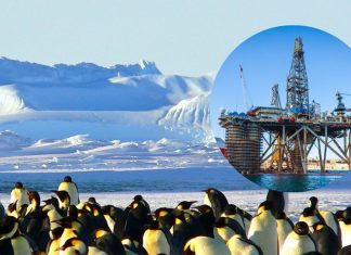 Rusia habría encontrado mega reserva de petróleo en zona de la Antártica reclamada por Chile