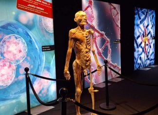 Bodies 2024: un extraordinario panorama educativo para las vacaciones de Invierno