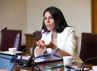 Senadora RN María José Gatica pide renuncia de Javier Macaya a presidencia de la UDI