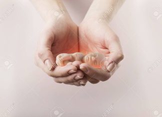 Encuesta CEP: aborto libre registra apoyo histórico con 38%