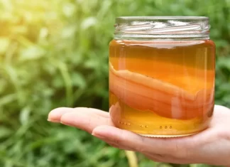 La milenaria bebida que puede ayudar a bajar de peso, estabilizar la glucosa y proteger tu salud