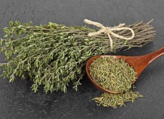 Tomillo, la hierba que te puede ayudar a controlar el colesterol y la presión arterial