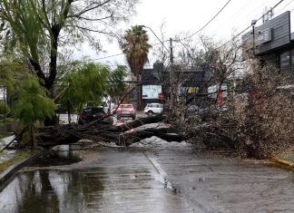 Aseguradoras cifran en 1,2 millones los hogares afectados por el temporal y daños alcanzarían los US$100 millones