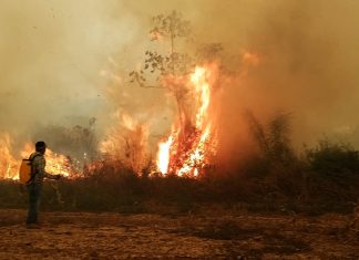 Incendios en Bolivia consumen una superficie comparable a la de Suiza y los bomberos no dan abasto