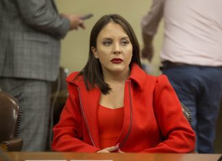 Caso Audios: diputada Musante (IND) pide incautar teléfonos de Andrés Chadwick, Ángela Vivanco y Jean Pierre Matus