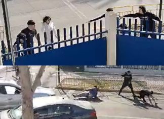 VIDEO | Puñetazos, patadas y hasta atropellos: que se sabe de la violenta pelea registrada en fuera de colegio de Puente Alto