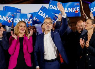 Ultraderecha logra una victoria histórica en Austria y buscará gobernar aunque no alcanza la mayoría absoluta