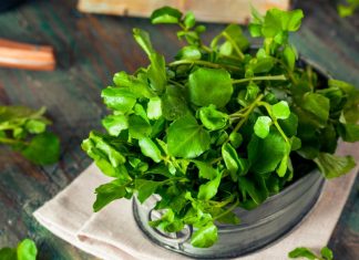 Esta es la verdura más saludable, que ayuda a todo el organismo y puede proteger del cáncer