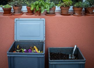Productos compostables: la nueva tendencia del consumo sostenible frente a los plásticos de un solo uso
