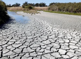 Wilfredo Alfaro y la información existente sobre la desertificación en Chile