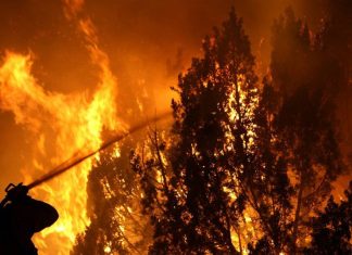 Gobierno decreta Alerta Roja en todo Biobío por incendios forestales, mientras emergencia se intensifica en la zona sur