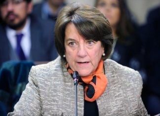 Quién es Adriana Delpiano, la nueva ministra de Defensa que reemplaza a Maya Fernández