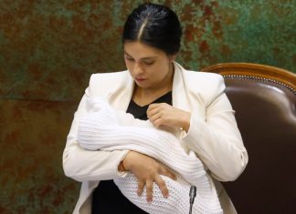 La justificación de la PDI para incorporar los chats del teléfono de Hassler donde critica, junto a Cariola, al Presidente