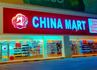 Todo lo que se sabe de la empresa china que tiene tan complicadas a Karol Cariola e Irací Hassler