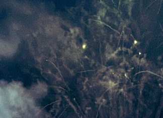 Con ingenio y desbordes de alegría se expresaron los hinchas de la U tras la victoria ante Botafogo