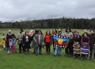 Lonco de Temucuicui y su relación con Boric y Winter que atentó contra la visita de Izkia Siches
