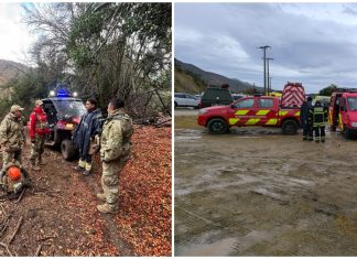 ¿Quiénes eran los pasajeros que murieron en accidente de avión ambulancia siniestrado en Curacaví?