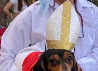 Los mejores memes que dejó el nombramiento de León XIV como nuevo Papa