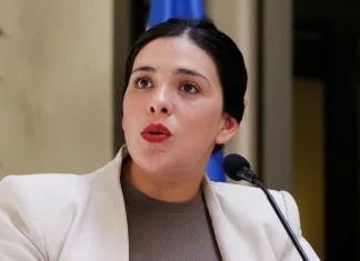 Chats revelan que diputada Cariola usó su cargo para favorecer a empresario chino y gestionar beneficios personales