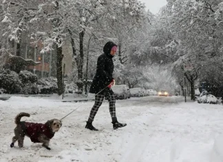 Senapred emite alerta preventiva en el sur y centro del país: en algunas regiones la temperatura bajará hasta -10° bajo cero