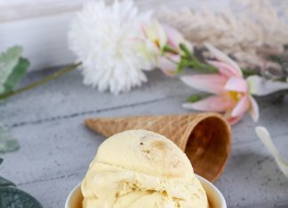 El nuevo oro blanco: helado chileno conquista paladares y cifras récord