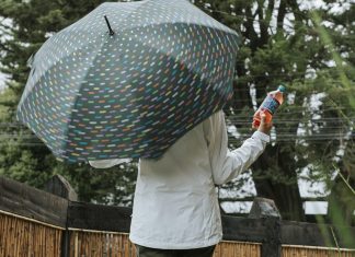 Microbiota en acción: cómo fortalecer las defensas en invierno desde el aparato digestivo