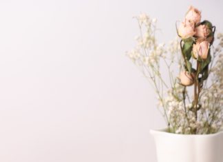 Cory sorprende con tres nuevos sabores inspirados en la realeza austríaca