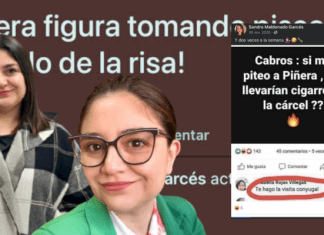 «Si me piteo a Piñera, me irían a ver a la cárcel»: los comentarios en redes sociales de la ahora exseremi de Energía