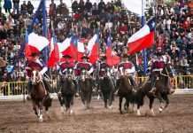 ¡Pucha que es linda mi tierra! Felices Fiestas Patrias para mi Chile lindo