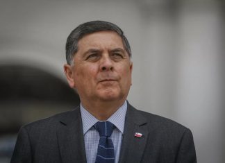 Exministro Claudio Alvarado carga contra Matthei por su campaña contra Kast: “Solo divide al sector”