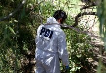 ¿El Tren de Aragua en acción? ¿Qué se sabe de los cadáveres descuartizados y calcinados encontrados en San Vicente de Tagua Tagua?