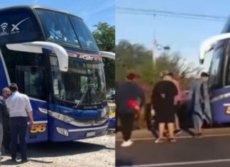 Indignación en Argentina por asalto en Chile a bus con turistas trasandinos (Video)