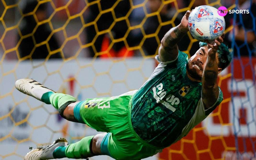 diego mono sanchez coquimbo