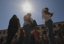 Voto obligatorio impulsa asistencia histórica: más del 85% participó en las presidenciales