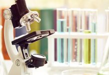 Estudio revela que la eficiencia investigativa en universidades chilenas no depende del tamaño ni del presupuesto