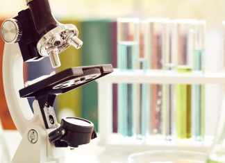 Estudio revela que la eficiencia investigativa en universidades chilenas no depende del tamaño ni del presupuesto