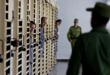 Cientos de presos murieron por torturas o enfermedades en las cárceles de Cuba: informe de la ONG Prisoners Defenders
