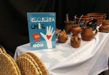 Siete e-commerce nacionales que llevan la Marca Chile al mundo