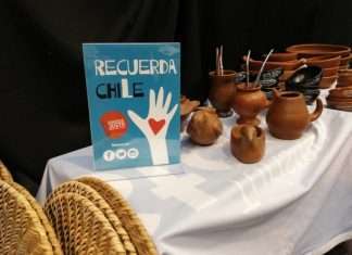 Siete e-commerce nacionales que llevan la Marca Chile al mundo