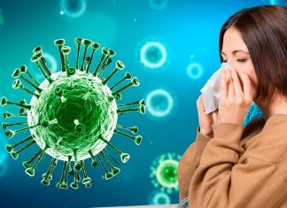 Minsal prepara vacuna con nueva cepa y refuerza monitoreo frente a riesgo de gripe H3N2