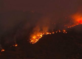 Llamas habían consumido hasta anoche 470 hectáreas: impactantes imágenes del incendio en San Carlos de Apoquindo