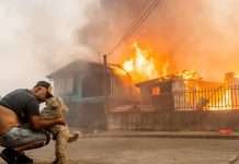 Causas de los trágicos incendios en el sur: ¿intencionalidad criminal, negligencia o fallas técnicas?