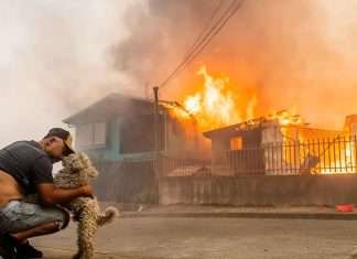 Causas de los trágicos incendios en el sur: ¿intencionalidad criminal, negligencia o fallas técnicas?